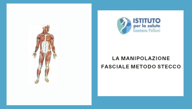 Manipolazione Fasciale Metodo Stecco: una tecnica fisioterapica e riabilitativa